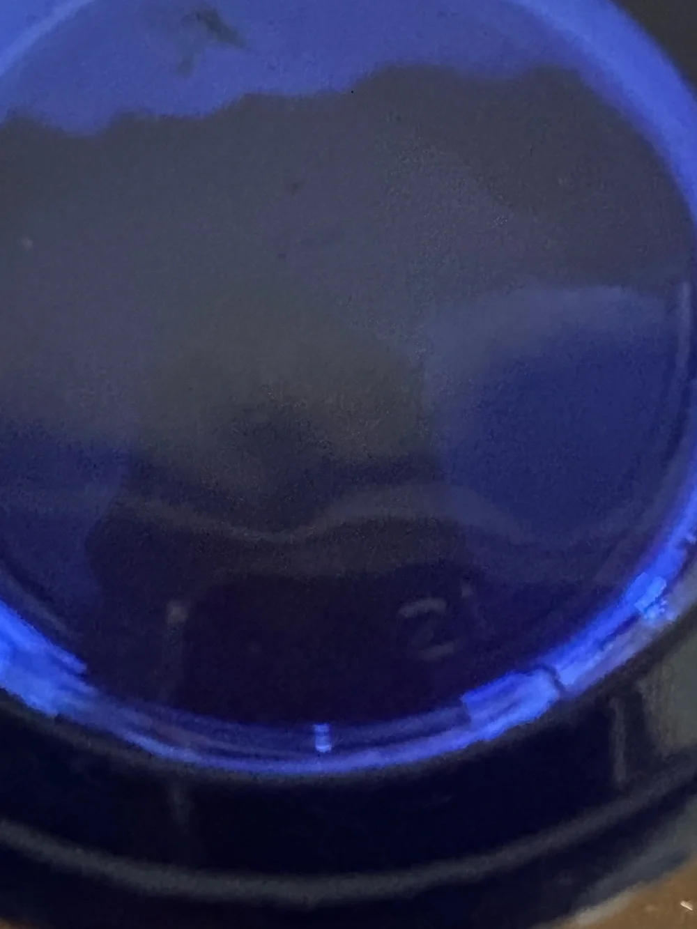 Cobalt Blue Decorative Glass Vase - Home Accents